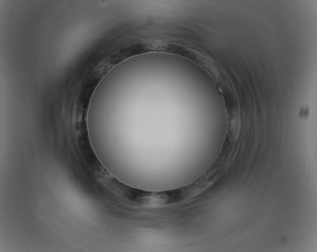 X0000092000525200709271511