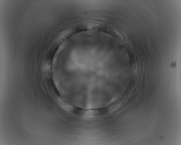 X0000092000527200709271511