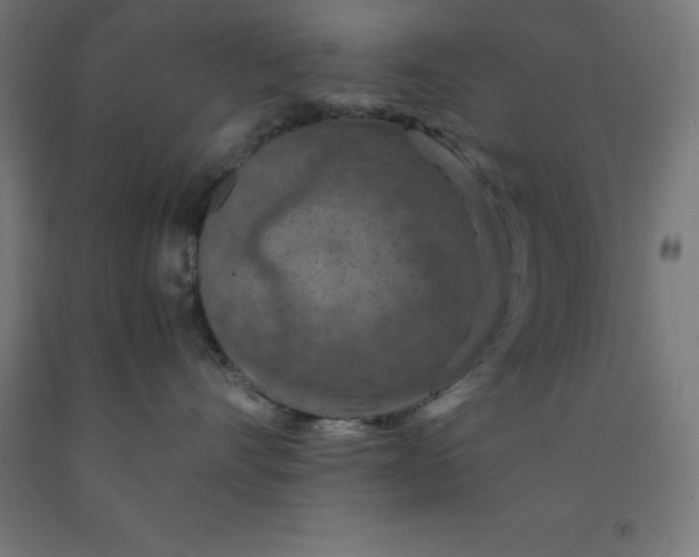 X0000092000528200709271511