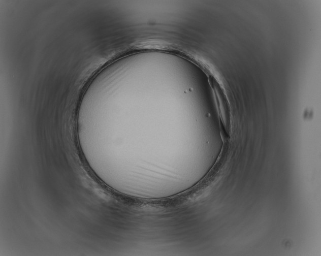 X0000092000529200709271510