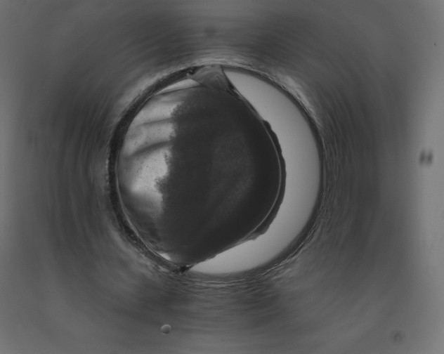 X0000092000531200709271510