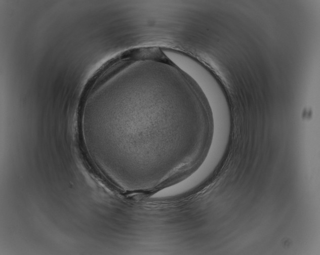 X0000092000532200709271510