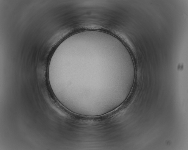 X0000092000533200709271510