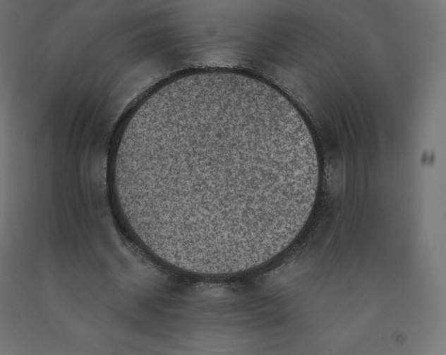 X0000092000534200709271510