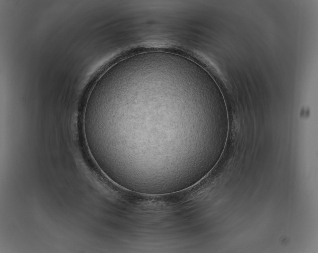 X0000092000535200709271510