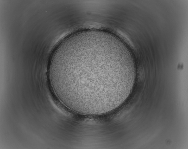 X0000092000538200709271510