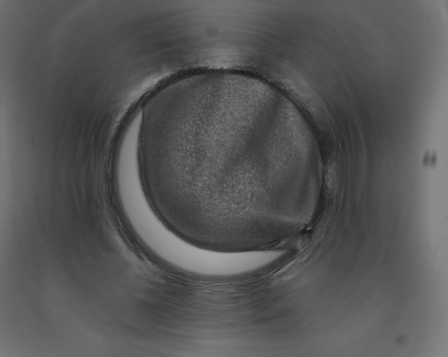 X0000092000540200709271510