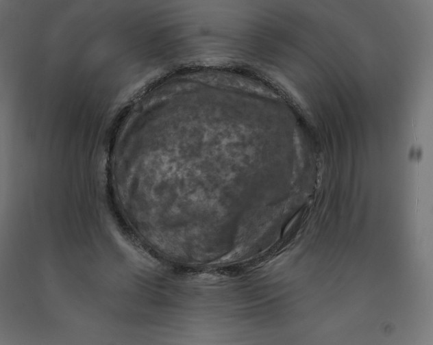 X0000092000542200709271510