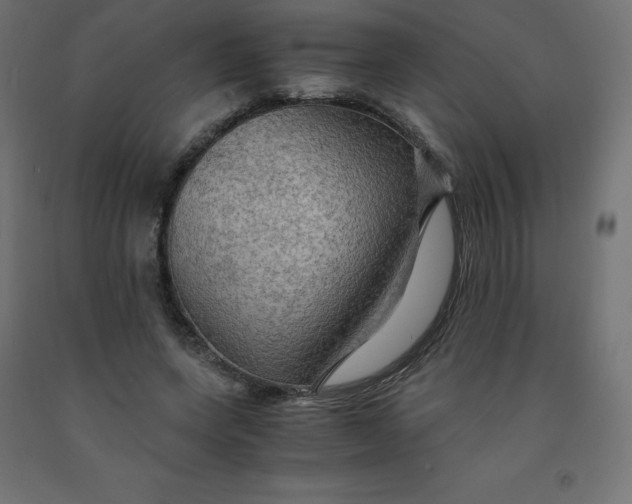 X0000092000543200709271510