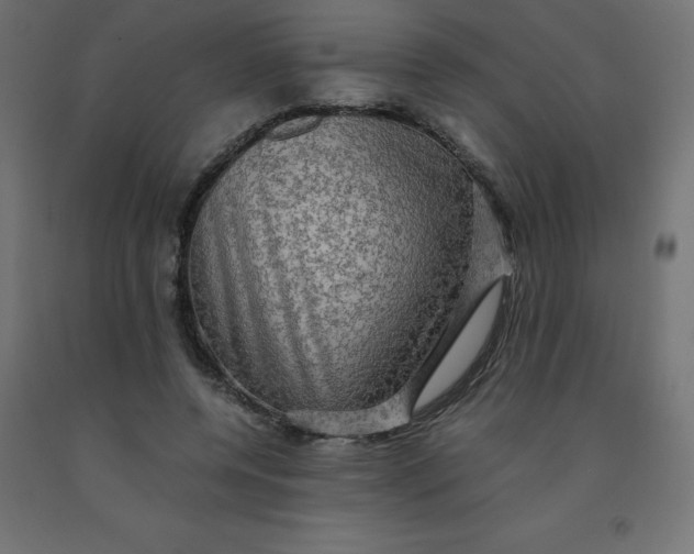 X0000092000544200709271510