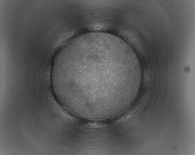 X0000092000545200709271510