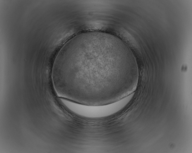 X0000092000546200709271510