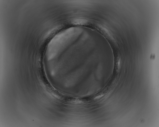 X0000092000547200709271510