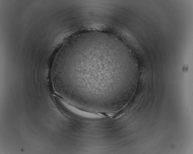 X0000092000548200709271510