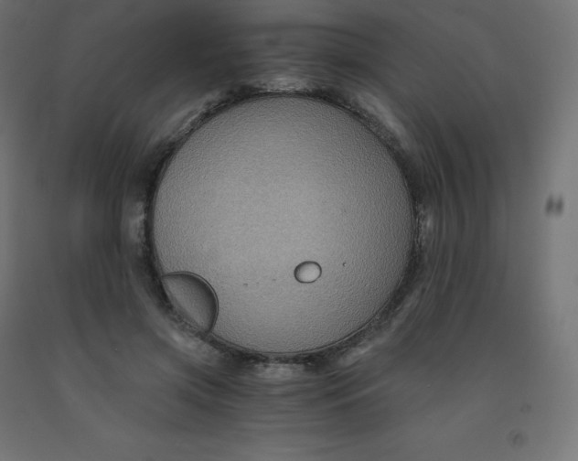 X0000092000549200709271510