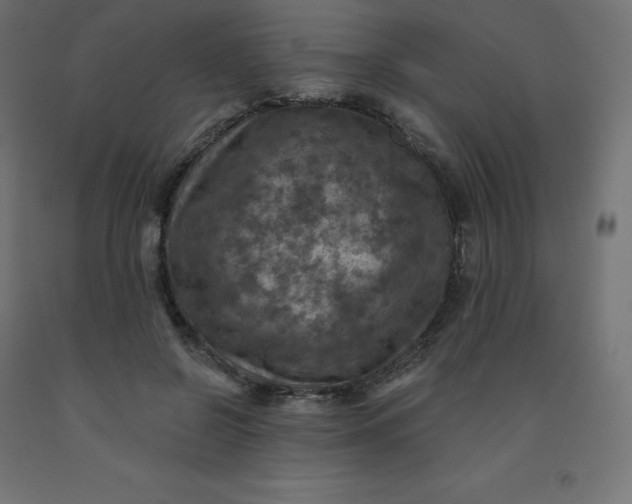 X0000092000550200709271510