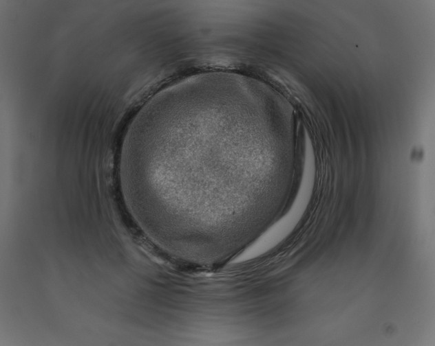 X0000092000552200709271510