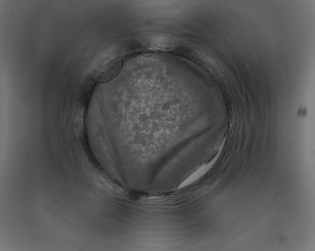 X0000092000554200709271510