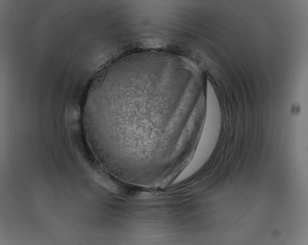 X0000092000556200709271510