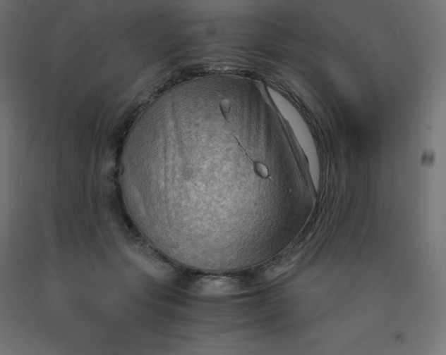 X0000092000557200709271510