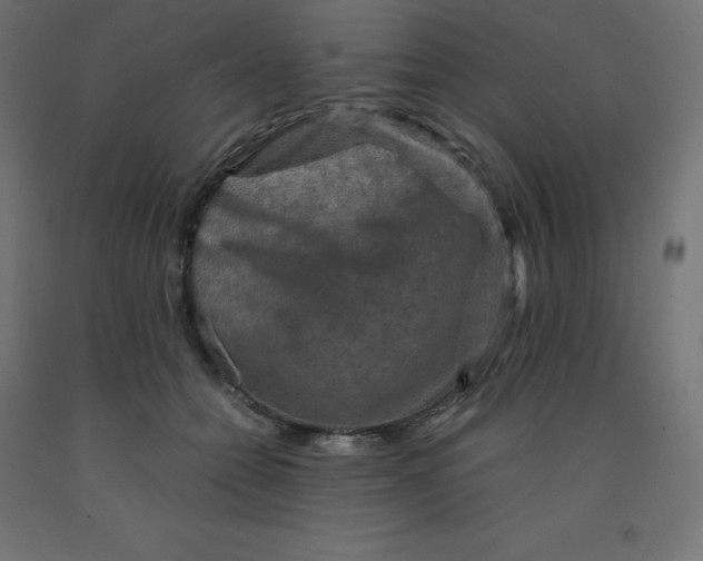 X0000092000558200709271510