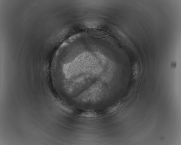 X0000092000559200709271511