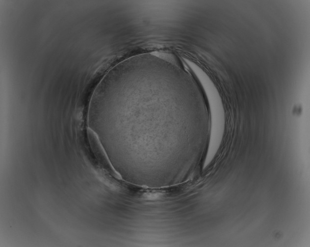 X0000092000560200709271511