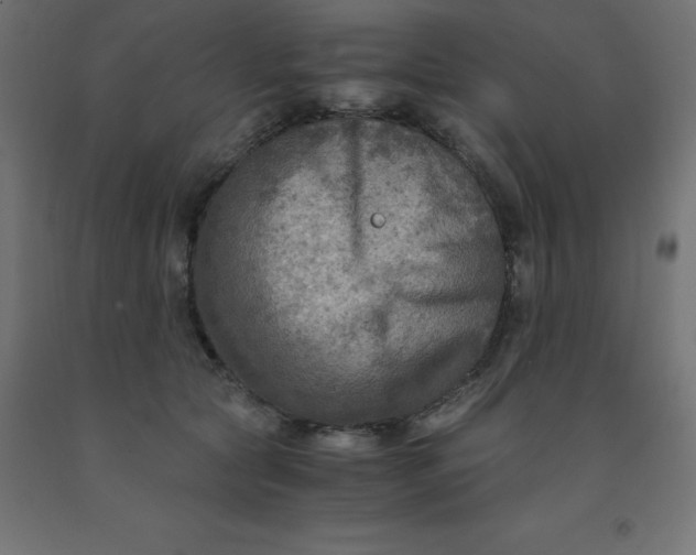 X0000092000561200709271511