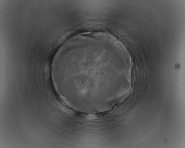 X0000092000562200709271511