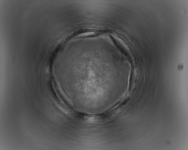 X0000092000564200709271511