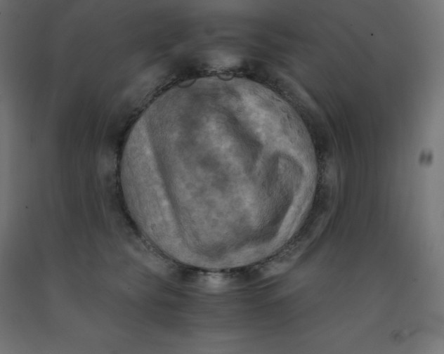 X0000092000565200709271511