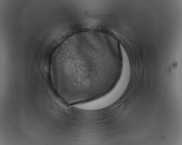 X0000092000566200709271511