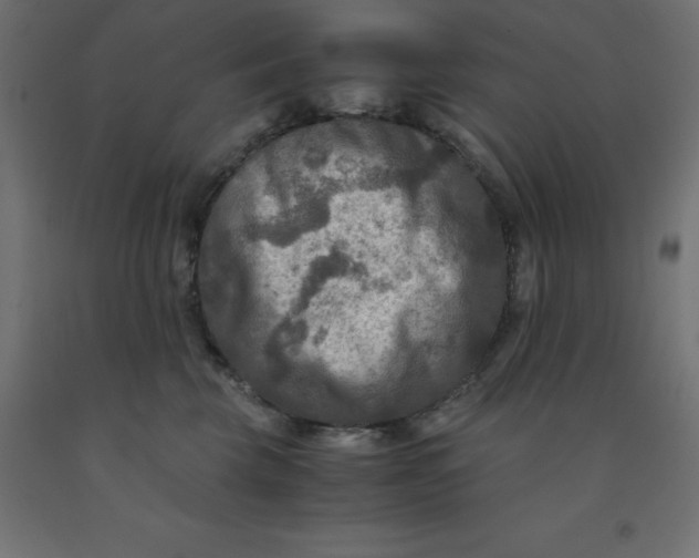 X0000092000569200709271511