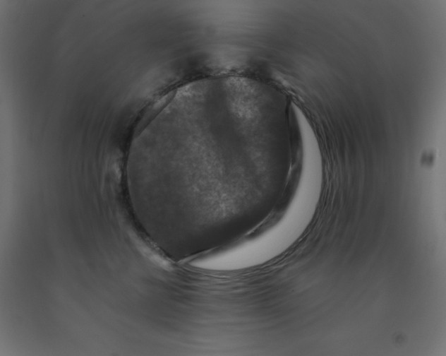 X0000092000570200709271511