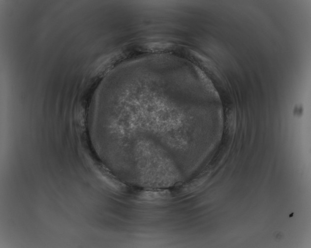 X0000092000571200709271511