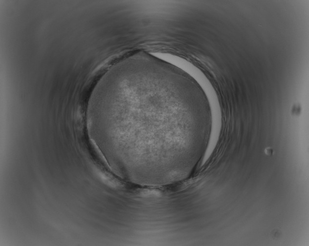 X0000092000572200709271511