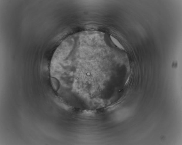 X0000092000573200709271511