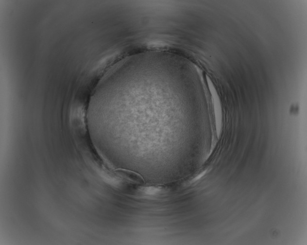 X0000092000575200709271511