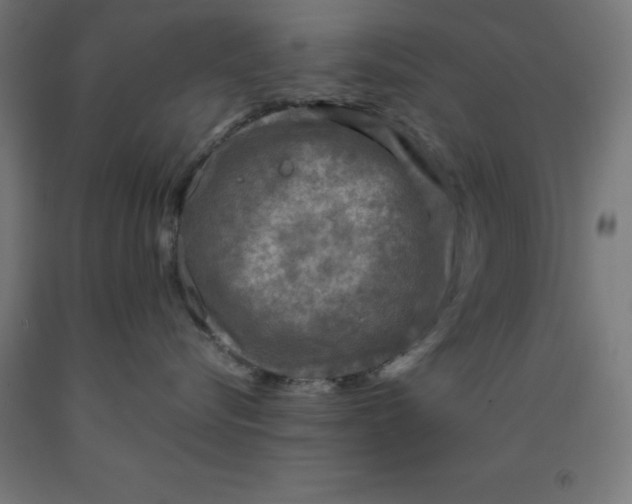 X0000092000576200709271511