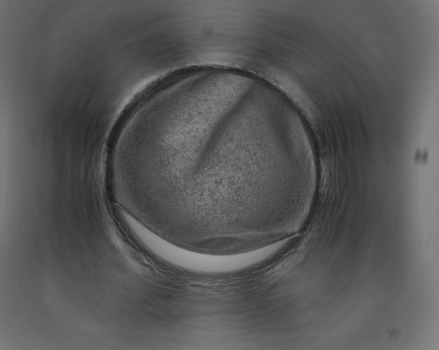 X0000092000580200709271510