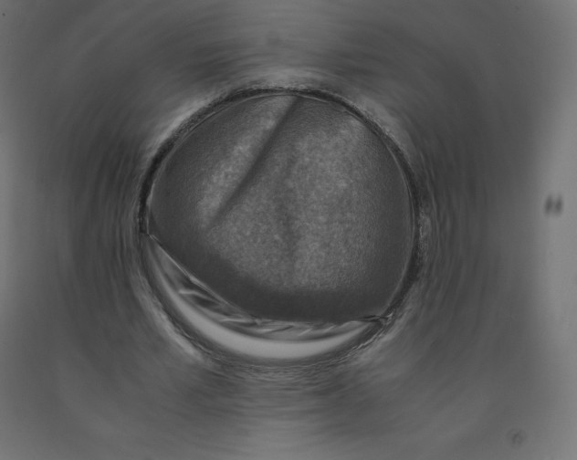 X0000092000581200709271510