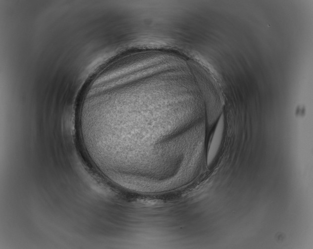 X0000092000582200709271510