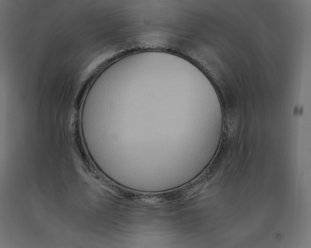 X0000092000583200709271510