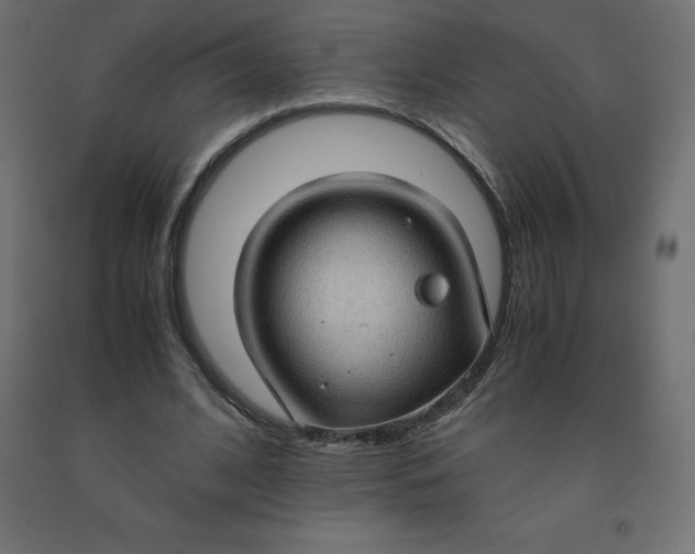 X0000092000584200709271510