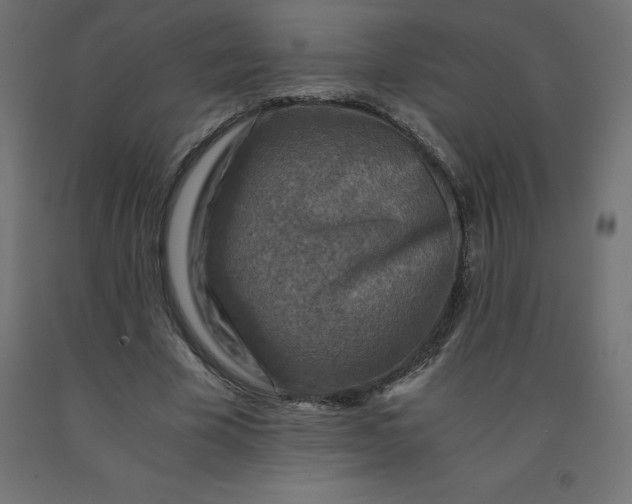 X0000092000585200709271510