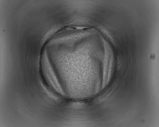 X0000092000586200709271510