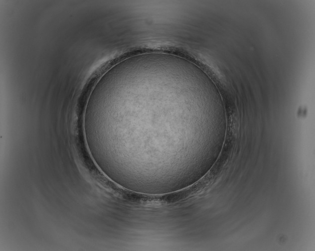 X0000092000587200709271510