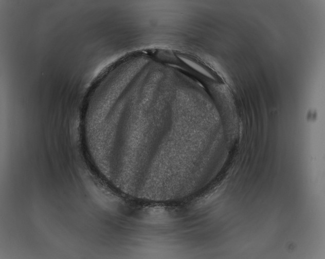 X0000092000588200709271510