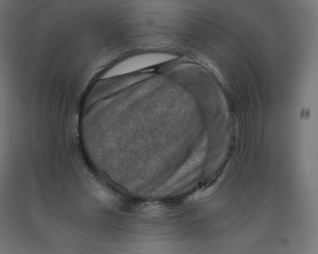 X0000092000589200709271510