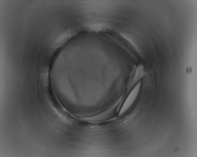 X0000092000590200709271510